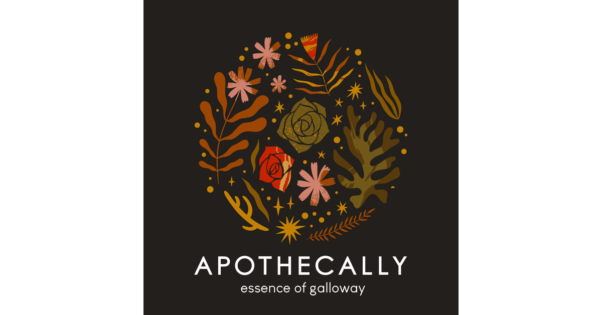 The Galloway Larder in Castle Douglas