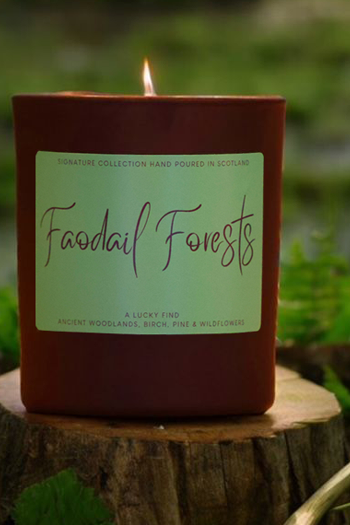 Faodail Forests Signature Candle