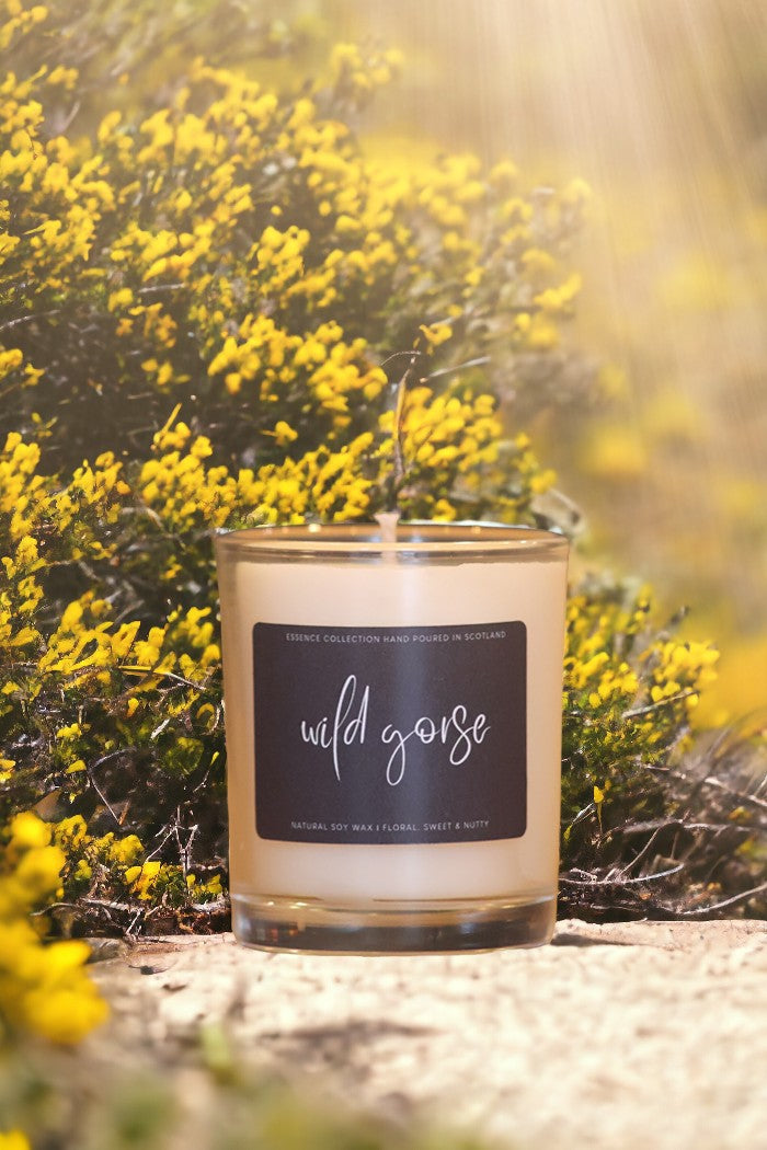 Wild Gorse Essence Candle